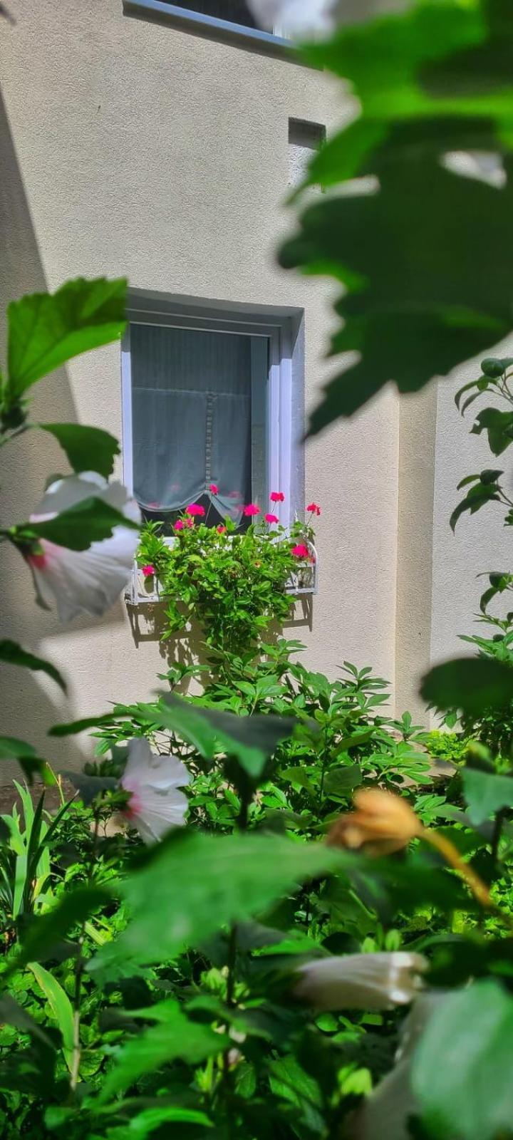 Anna'S Guesthouse Kaloşvar Dış mekan fotoğraf