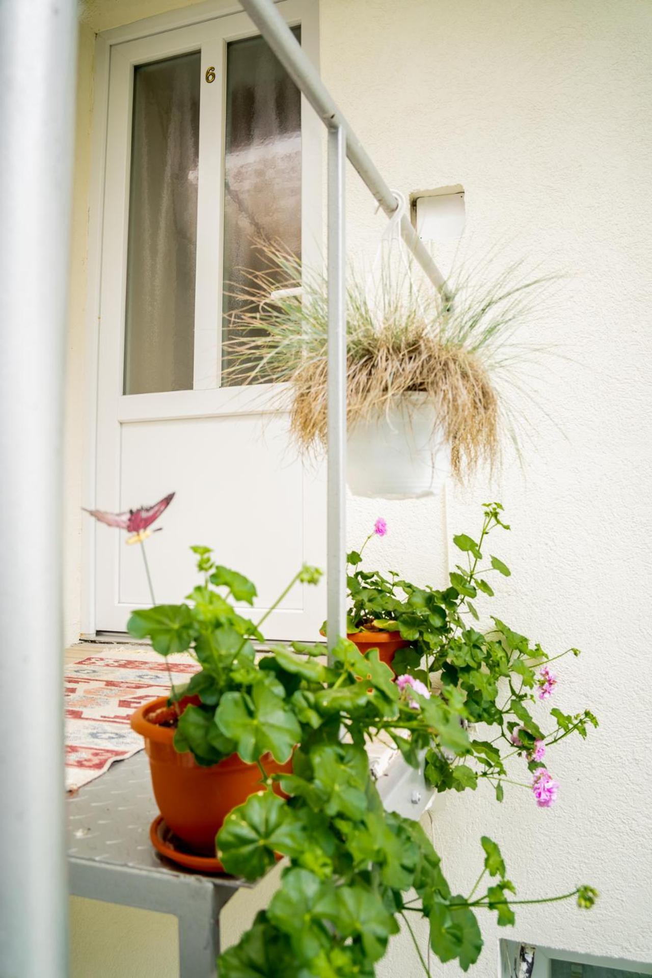 Anna'S Guesthouse Kaloşvar Dış mekan fotoğraf